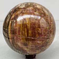 Natural Petrified Wood Polished Stone Quartz Crystal Sphere Ball Healing 5280G picture