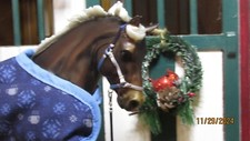 Jaapi 2024 SR halter & lead rope, fits Breyer Hot Cocoa, 2024 Pony for Christmas picture