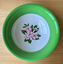 Shenango China GREENBRIER RESORT & HOTEL 9.5