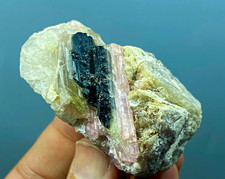 natural pink tourmaline with black tourmaline on matrix crystal specimen384ct picture