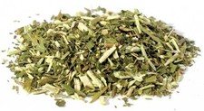1 Lb Vervain cut (Verbena hastata) (Blue Vervain) picture