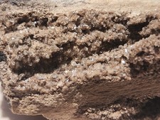 3 Big Pieces Brilliant Petrified Wood Fossil Smoky Quartz Crystal Alabama druzy picture