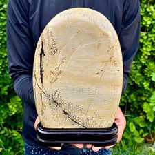 4.38LB Beautiful Natural Chinese Dendritic Limestone Picture Stone Guohua-Rare picture