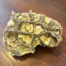 Large Natural Mineral Rock Specimen Matrix Display ~12 in Approx. 22 lb picture