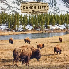 TF Publishing,  Ranch Life 2027 Wall Calendar picture