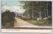 West Dover Road 1912 Postcard The Rotograph Co. Rural Scene Massachusetts picture