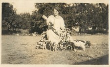 RPPC Postcard Woman Feeding  Spotted Pigs Gloucestershire Old Spots Piglets picture