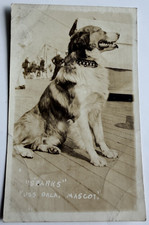 c1916 RPPC WWI USS Oklahoma Mascot Dog Sparks Postcard Vintage Navy Sailor  picture