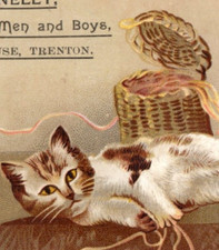 1880s-90s Donnelly Outfitter To Men & Boys Cute Cat Kitten & Yarn F146 picture