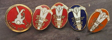 Vintage 1987-1990 Easter Seals Lapel Pins Pinbacks Lot Telethon Red/Blue picture
