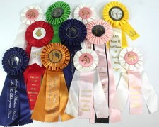 Lot Of 11 Horse Show Ribbons. Mostly Arabian Horses and Associations. See Pics. picture