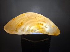 Enhydro Fluid Inclusion Agate Quartz Water Inside, Medium Pocket Video 39.4g picture