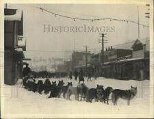 1928 Press Photo Musher with his pack of dogs during a sled dog race - piz04133 picture