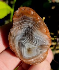 Lake Superior Agate, 1.9oz Excellent Layered Banding Display Agate picture