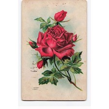 Vintage 1908 Red Rose Embossed Postcard Kittanning PA George Washington Stamp picture