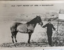 Rare Vtg RPPC Comanche Custer Survivor 7th Cavalry Fort Meade SD Little Bighorn picture