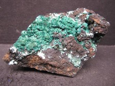 Brochantite, La Farola Mine, Chile #11 picture