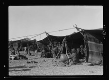 Photo:Shunet Nimrin Jordan Bedouin Camp 1935 Desert Tent Scene picture