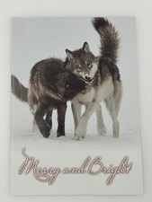 Merry and Bright Gray Wolves Holiday Greeting Card by Eilish Palmer picture