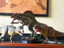 W-dragon Spinosaurus and Nanmu T. rex pair picture