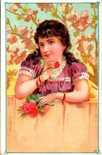 Vintage 1880's Beautiful Girl Homestead Stoves Victorian Trading Card Dayton, OH picture