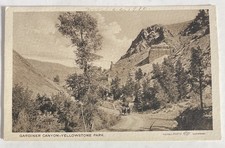 1910 Gardiner Yellowstone Park, Wyoming Horse And Buggy Vintage Postcard picture
