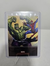 2007 Marvel Masterpiece Spiderman picture