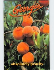Postcard Absolutely Peachy Peach Fruits Georgia USA picture