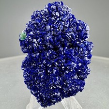 Fine Lustrous Azurite Crystal Group: La Sal, San Juan County, Utah- Classic picture