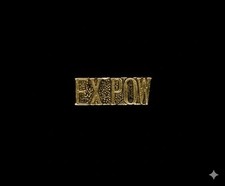 U.S. Military POW/MIA EX POW Script Lapel Pin picture