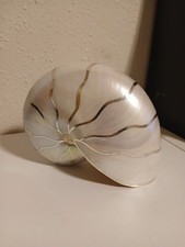 Large Irridescent Silver plated gilded stripes, prarlized. 7x5. Beautiful picture