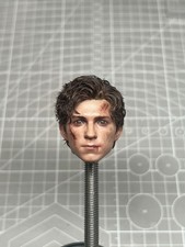 custom 1/6 spiderman Tom Holland head picture