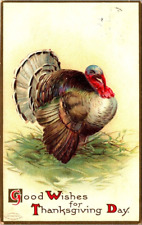 Good Wishes Thanksgiving Day~Ellen H Clapsaddle~Turkey~Vintage DB Postcard c1908 picture