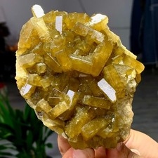 1.58LB Natural picture