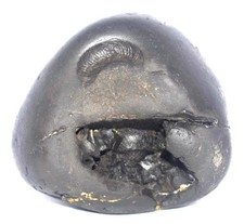Rare Golden Trivikrama Shaligram - Gandaki River Nepal picture
