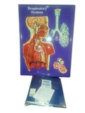 Hubbard Scientific 3D 3 Dimensional Plastic Chart Respiratory System Kit picture