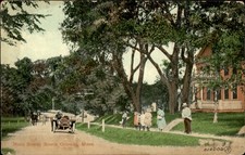 South Orleans MA Main Street V. O. Sons c1900s-10s Vintage Postcard picture