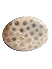 Hand polished Petoskey Stone, Med size. Semi precious, treasure, gift, fossil picture