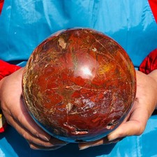 5.3LB Large Natural Petrified Wood Agate Sphere Crystal Healing Specimen 4075 picture