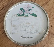 Vintage Pennsylvania State Map White Gold Serving Tray Beer Bar Mountain Laurel  picture