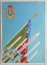 POSTCARD 64 REGIMENT INFANTRY CAGLIARI MILITARY KINGDOM INFANTRY BAYONETS M3 picture
