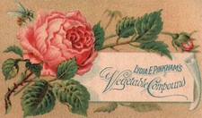 1880s-90s Lydia E. Pinkham's Vegetable Compound Cure Ham's Trade Card Ad picture