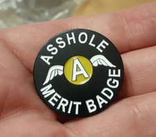 A*SHOLE MERIT BADGE Lapel Pin brooch a*s hole A wings enamel funny pinback Black picture
