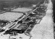 An aerial view of crowds sunbathing Jones Beach Long Island New Yo- Old Photo picture