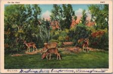 1937 Animal Linen Postcard 