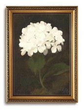 KISSFOX Gold Framed Wall Art Hydrangea Floral Canvas Vintage Moody Still Life picture