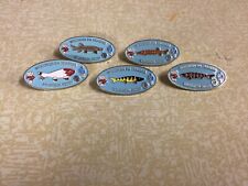 Lions Club Pin: 5 Wisconsin Pin Traders Sturgeon Decoy Pins picture