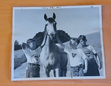 VINTAGE YMCA SAN FRANCISCO EXAMINER PHOTO ORIGINAL FANTASTIC YOUNG KIDS ADULTS picture