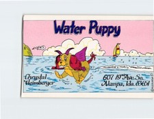 QSL Card CB Radio Hustler Water Puppy Chrystal Heimberger Nampa Idaho picture