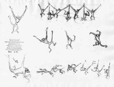 Disney: Jungle Book: Spider Monkeys-Original Stat Model Sheet-1967 picture